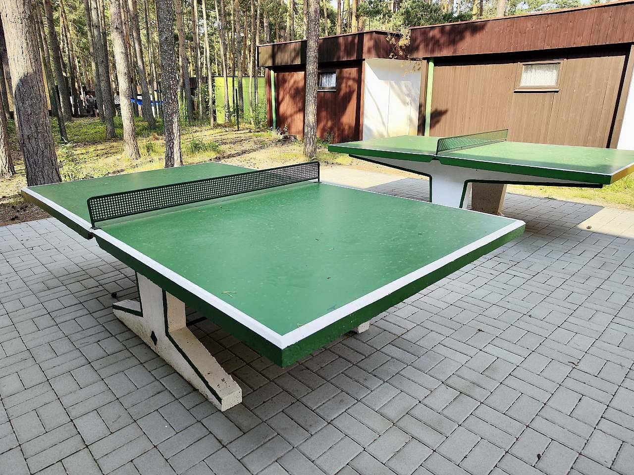 Stolní tenis